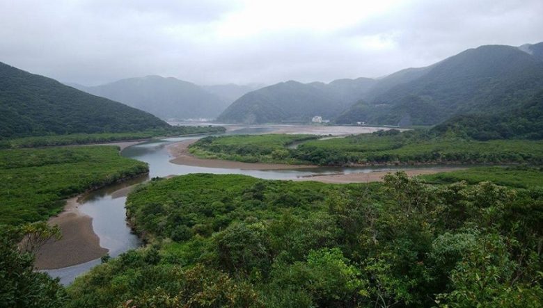 南国・奄美大島の大自然を満喫できる、日本一早い（?!）キャンプイベントが今年も開催。
