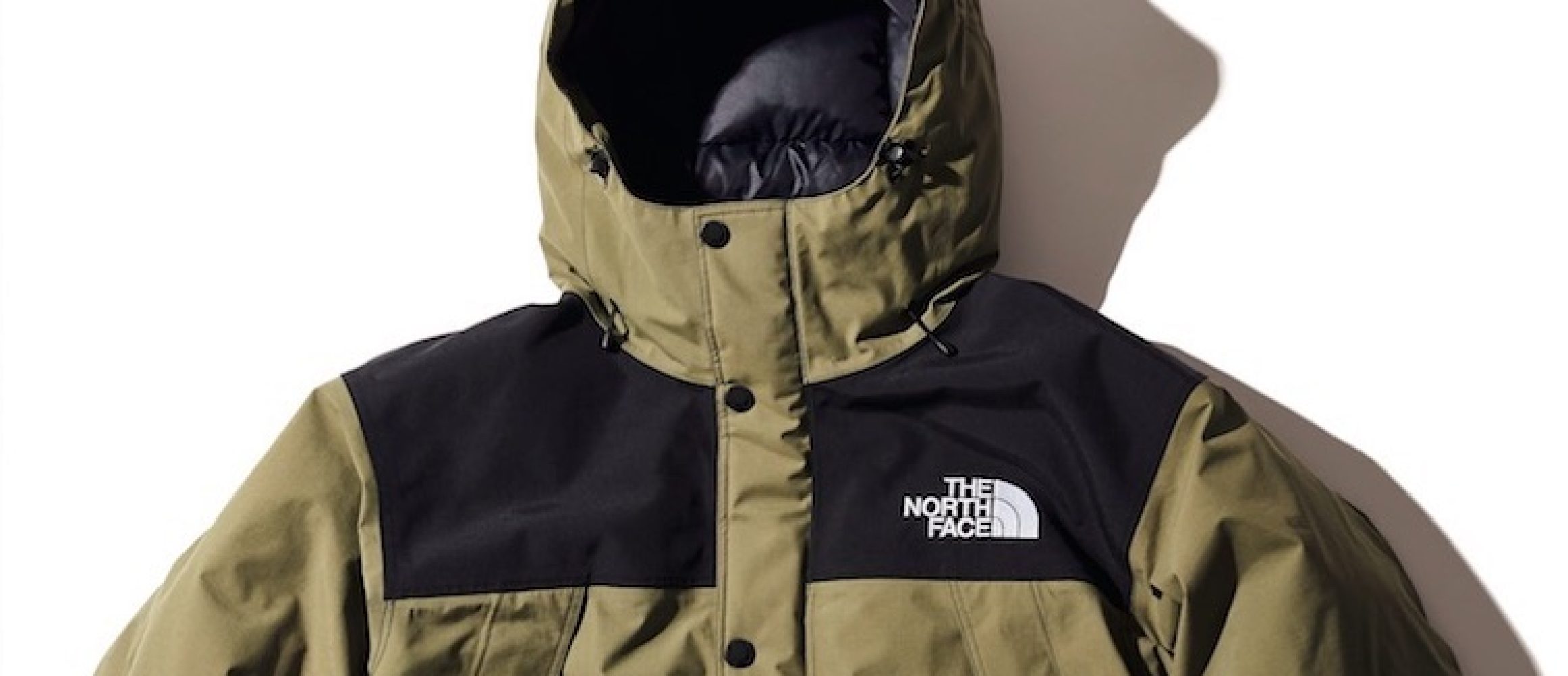 GO OUT掲載NorthFace mountain down jacket L
