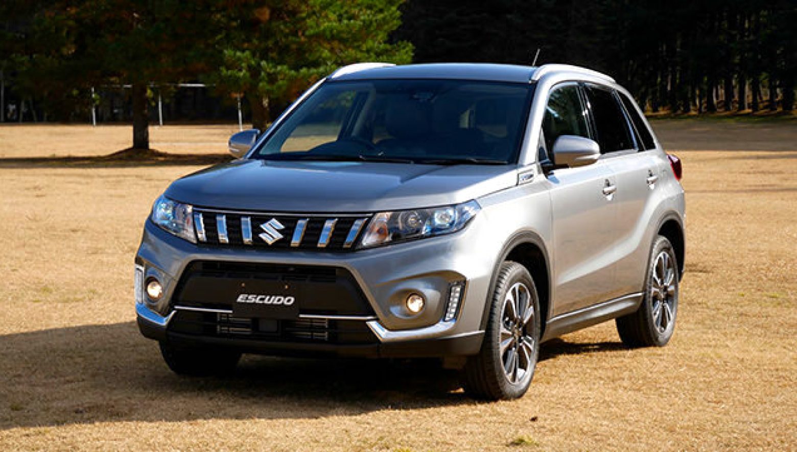 94b8c021f982e0c12c4734a31d849f