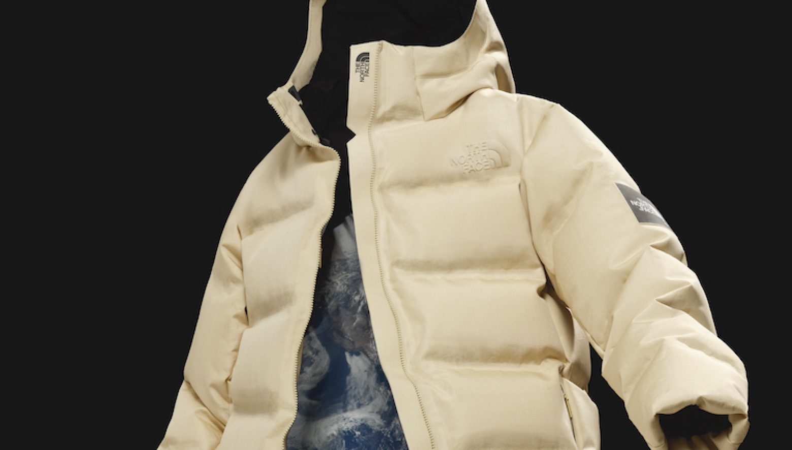 ノースフェイス ムーンパーカ Moon Parka Lサイズ 限定50着