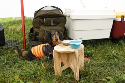 愛犬ダイズくんの専用スペースも用意。テーブルにはミニサイズのシェラカップも置かれている。