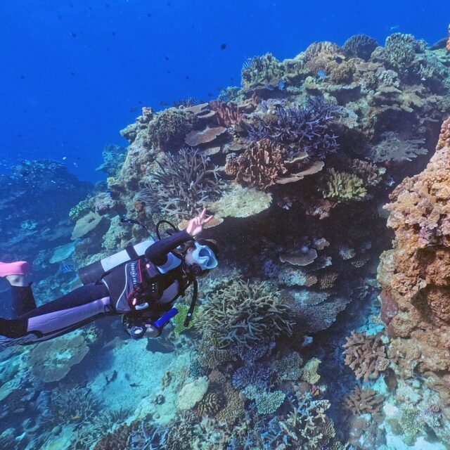 GOPR3117--640x640.jpg