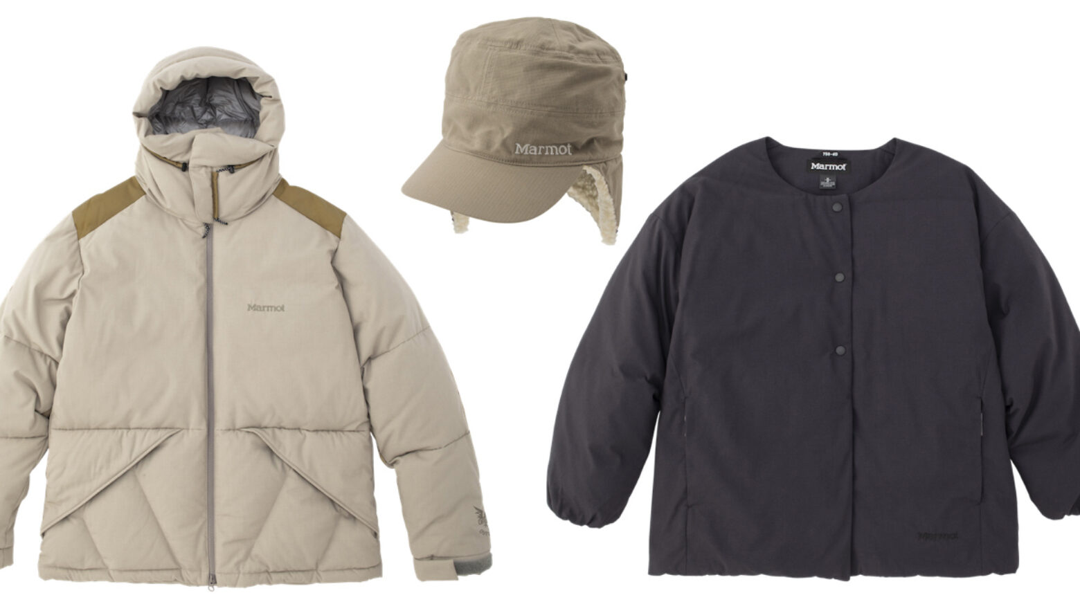 marmot-1560x886.jpg