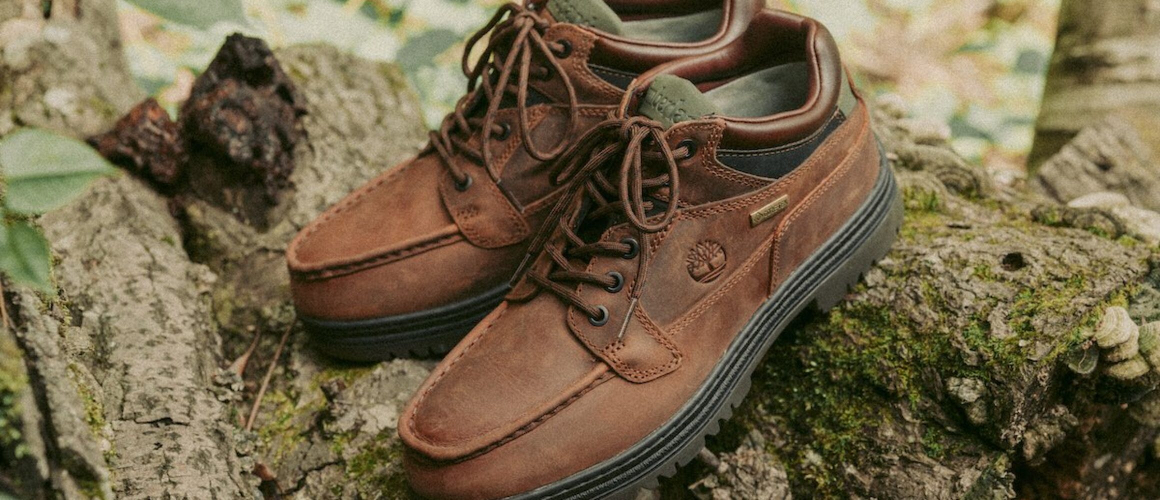 46293f838e6aa1b5e57aa4c5d77193