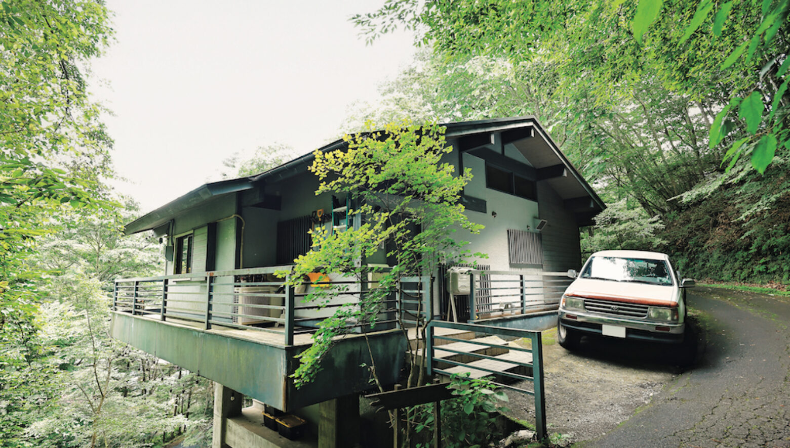 P7A3423-1560x886.jpeg