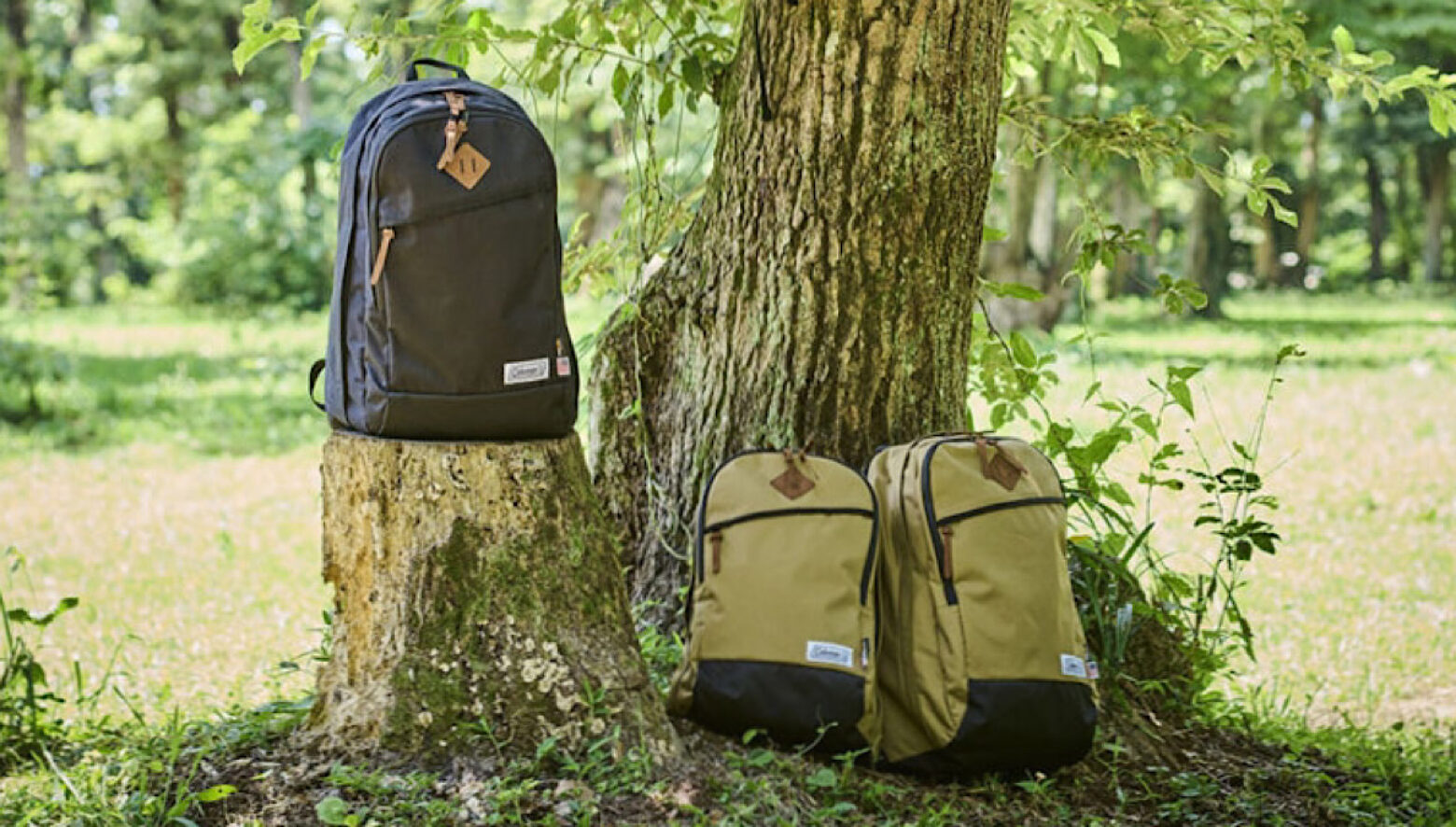 Cosmic Retribution Joe Coleman ジョー・コールマン コールマンのバックパックに、アメリカンクラシックな新シリーズ