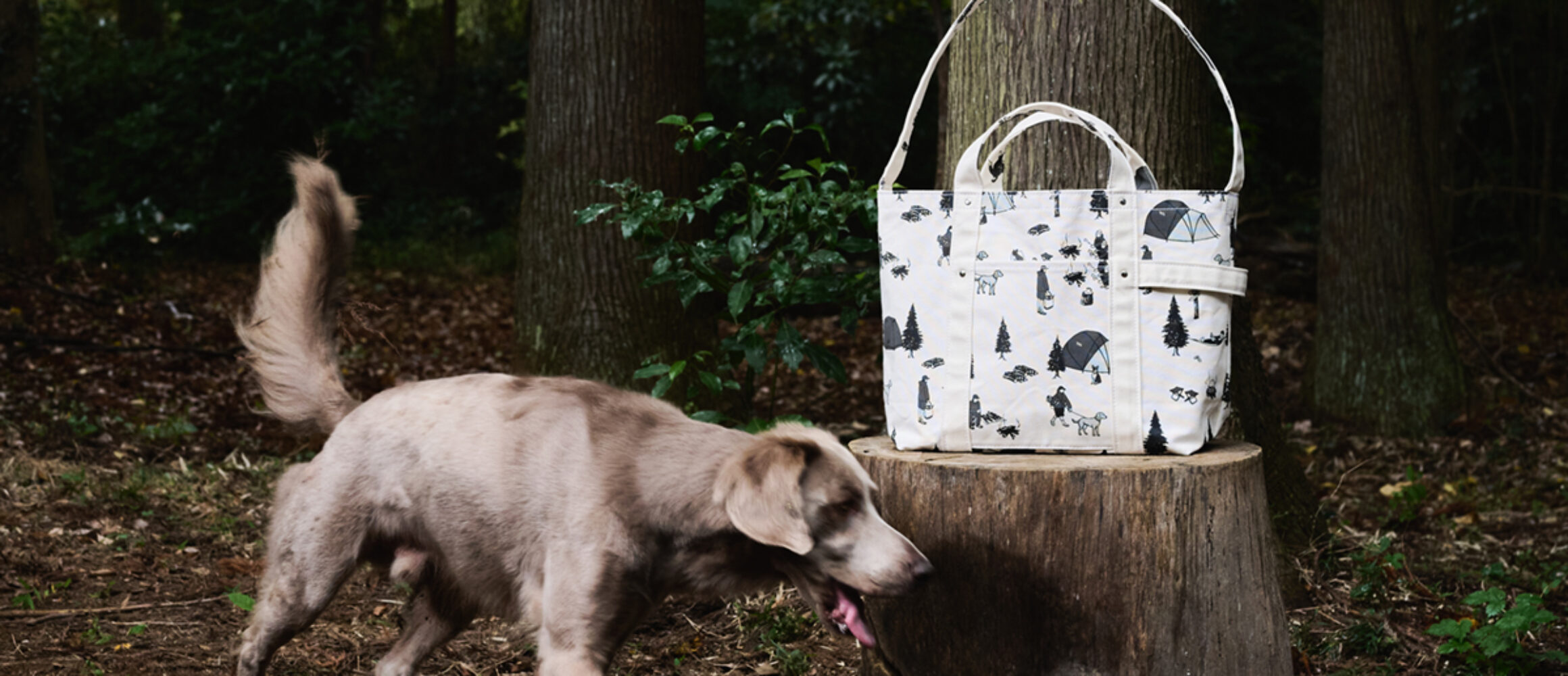 TEMBEAとGrisがコラボ。オリジナルイラスト纏ったキャンプドッグ