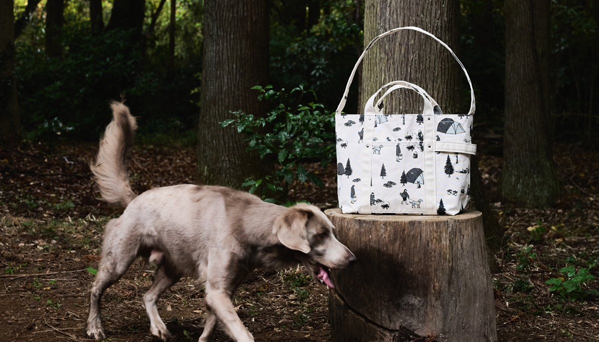 TEMBEAとGrisがコラボ。オリジナルイラスト纏ったキャンプドッグ