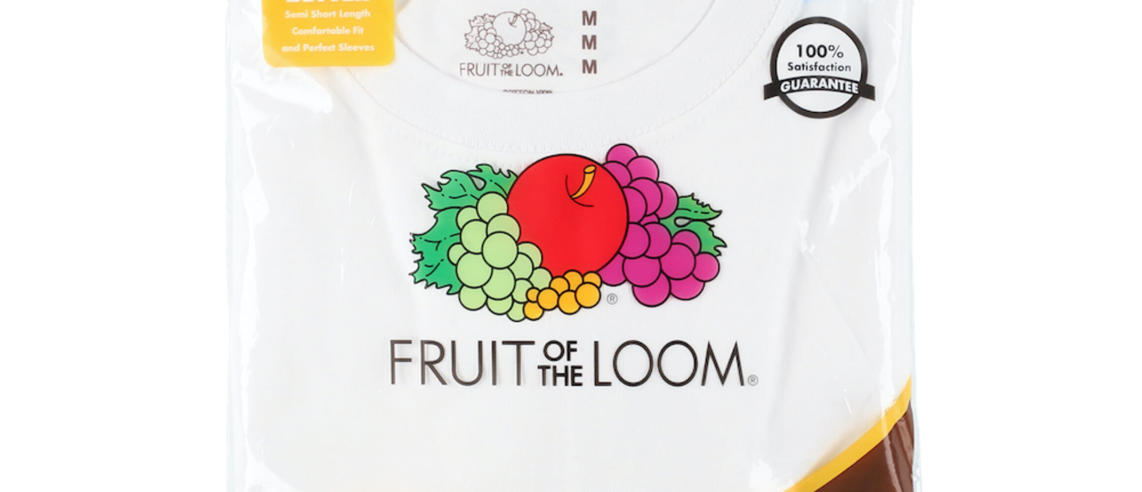 24aw-FRUIT-OF-THE-LOOM-2PACK-T
