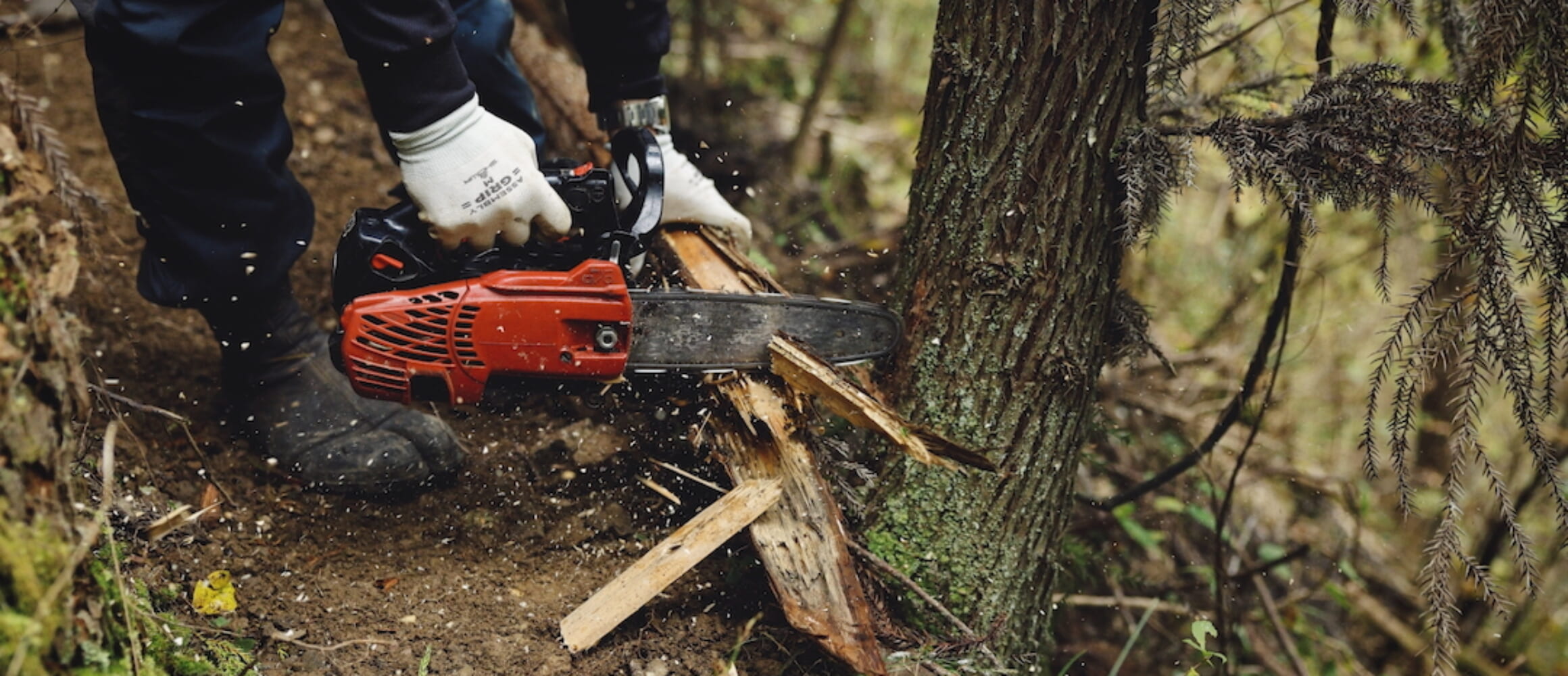 【28.29日限定】旅人の木12節⑦ モーターサイクリスト 2025年9月号 | 八重洲出版 公式サイト
