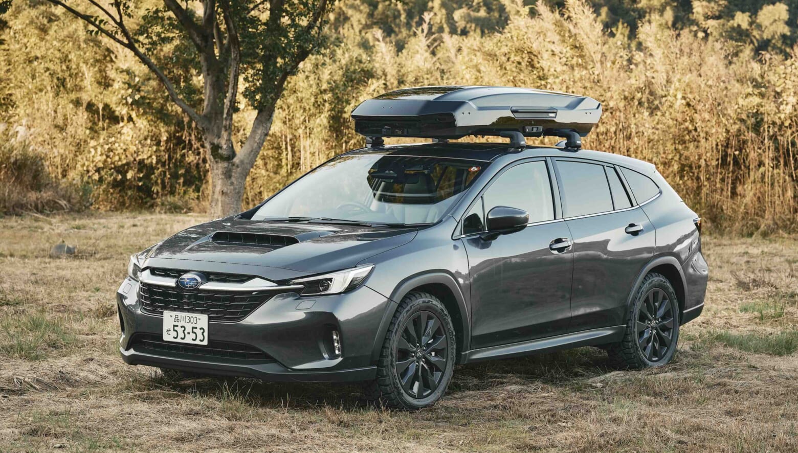 _DSF5102 | GO OUT WEB