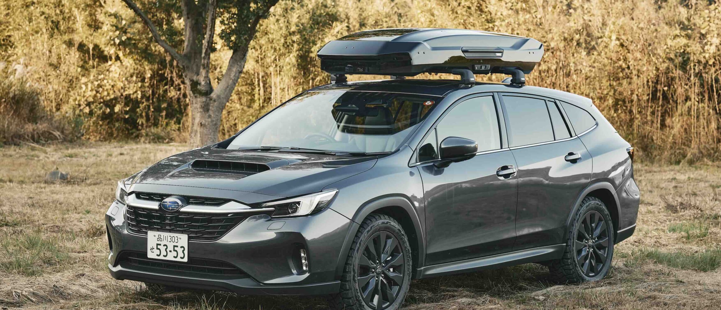 _DSF5102 | GO OUT WEB