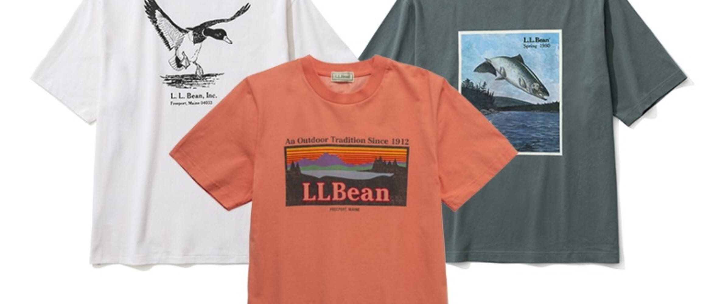 山本 エルヴィンおまとめ 山本 エルヴィンおまとめ 山本 エルヴィンおまとめ NEAT×EDWIN