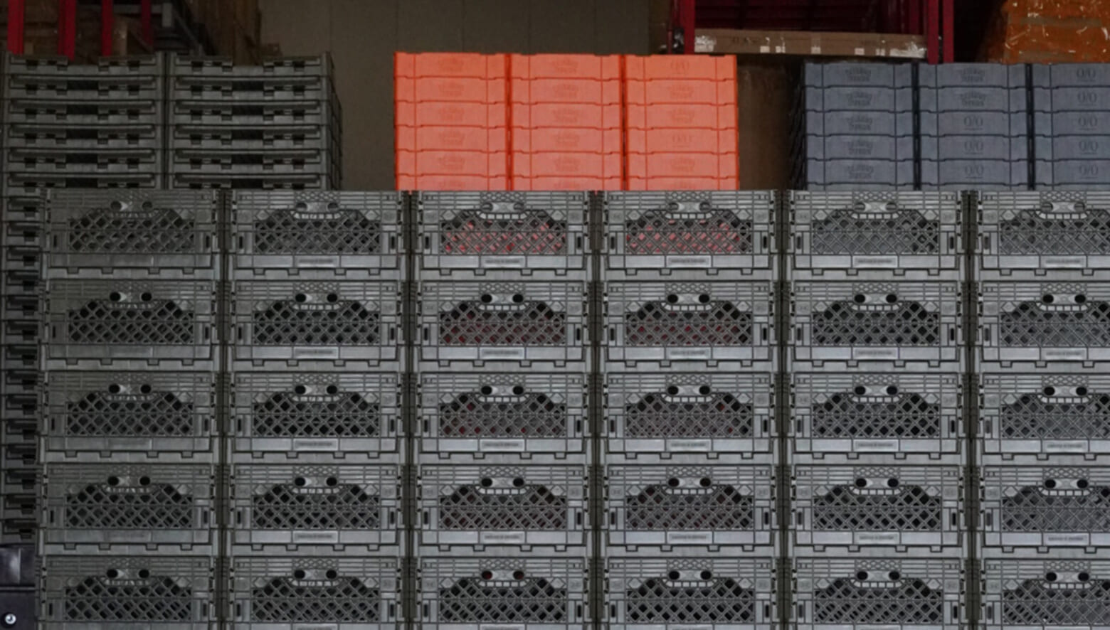 カルマストアとネルデザインがまさかのコラボ！ 韓国ブランド