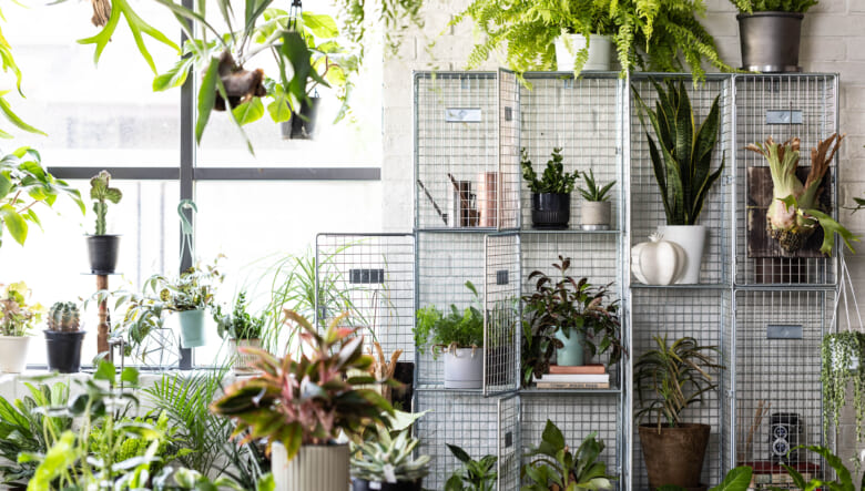 ギアや工具の格納は、CRASH GATEのラギッドな“メッシュラック”にお任せ！