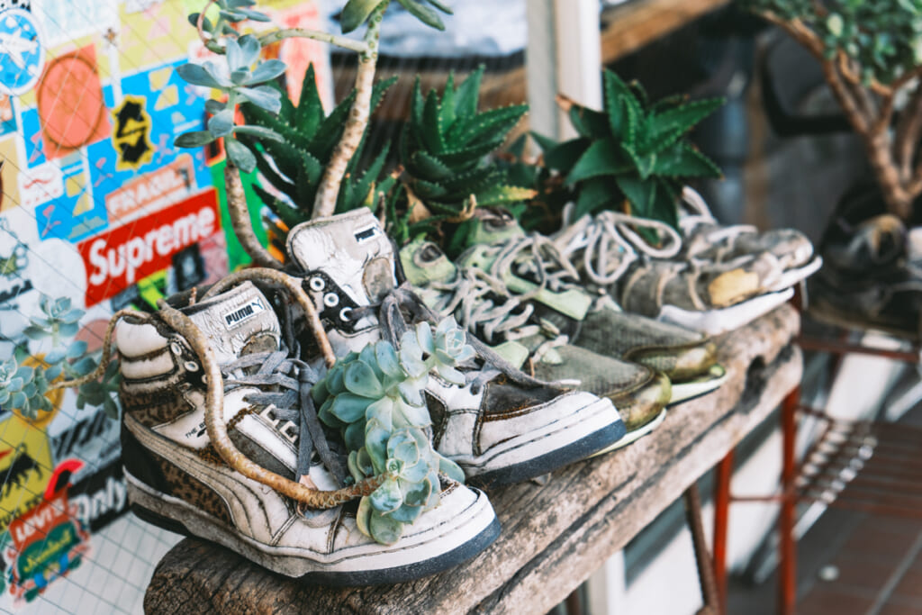 世田谷・松蔭神社のフリッジの観葉植物