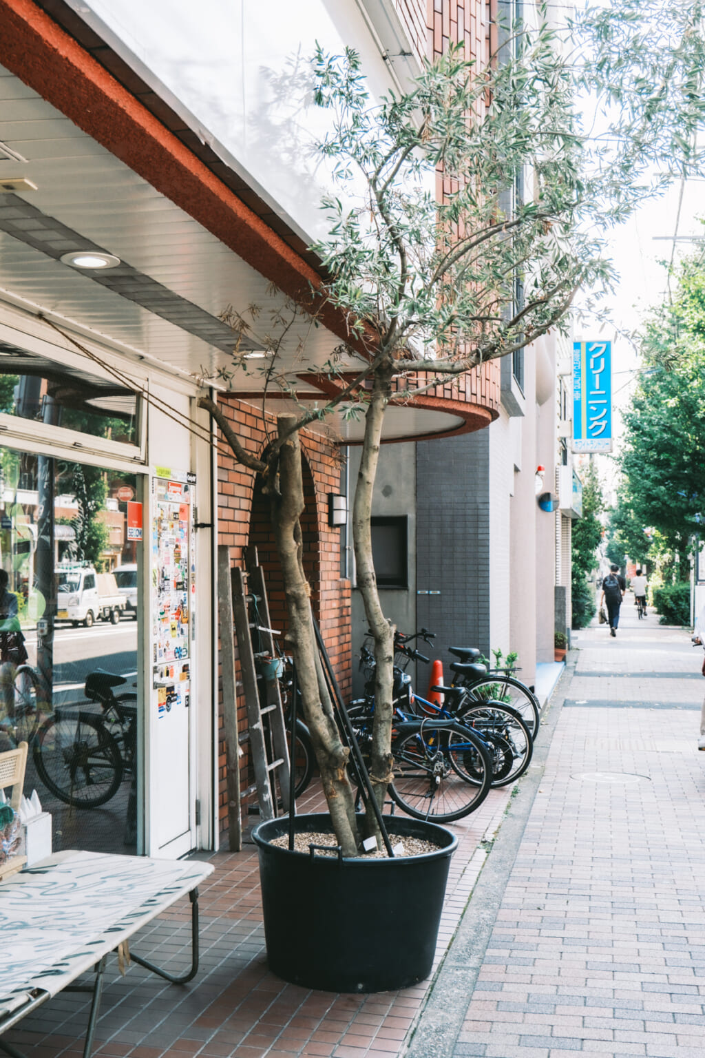 世田谷・松蔭神社のフリッジのオリーブ