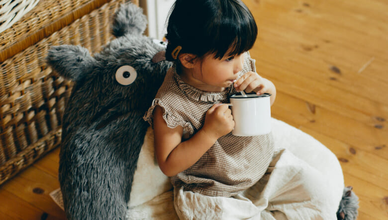 古道具のインテリア、DIYにこだわるキャンパー夫婦の暮らし。【BESSユーザーお宅訪問@ワンダーデバイス・茨城】