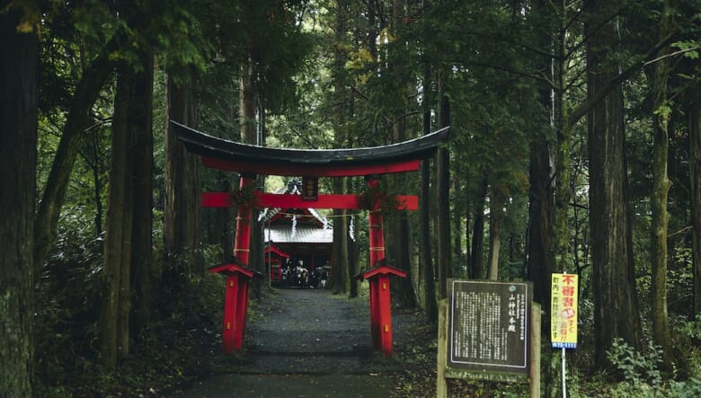 スーパーハイキングに参戦！　東海道自然歩道を歩いて、ふもとっぱらでテント泊。【GO OUT 遊歩倶楽部with MERRELL #01】