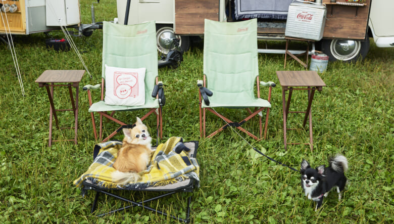 愛犬用のドッグコットと合わせて、コールマンのチェアやヴィンテージのサイドテーブルでくつろぎスペースを展開。