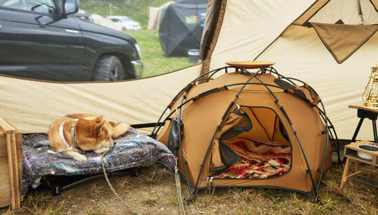 愛犬、巫女のギアはドッグ用ドームテントのカミクラとイベントで購入したコット。
