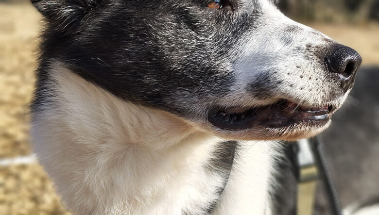 ボクらがスマホに求めること。アウトドア派フォトグラファーが「arrows Alpha」と過ごす1日。