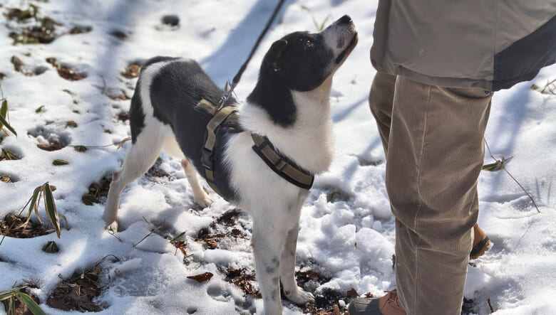 ボクらがスマホに求めること。アウトドア派フォトグラファーが「arrows Alpha」と過ごす1日。