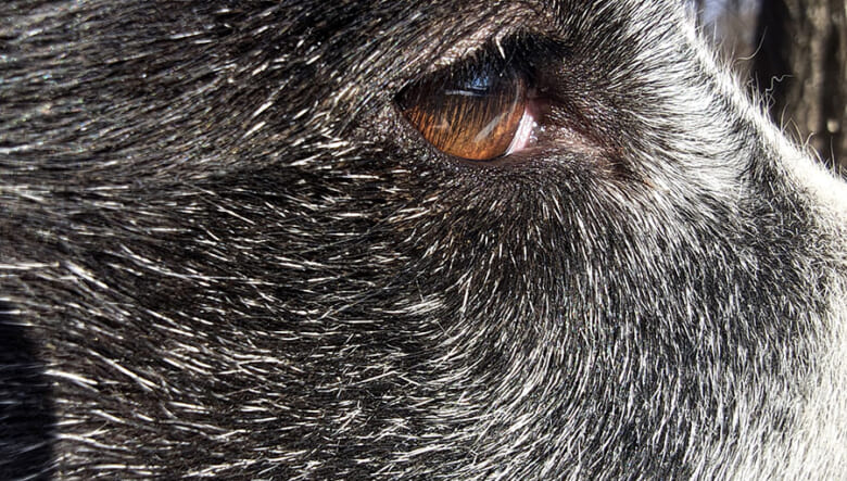 ボクらがスマホに求めること。アウトドア派フォトグラファーが「arrows Alpha」と過ごす1日。