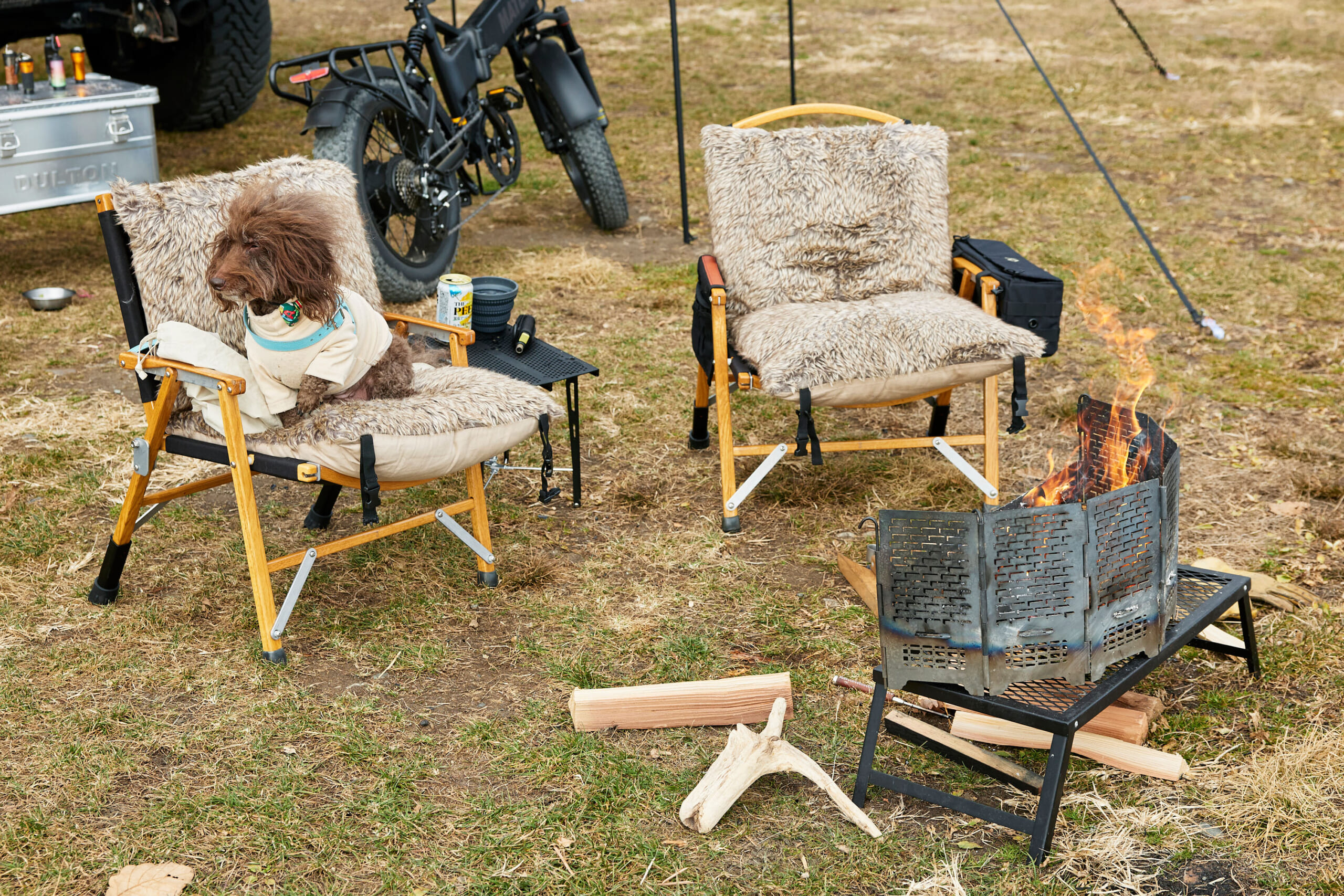 _P7A6237_1 | GO OUT WEB