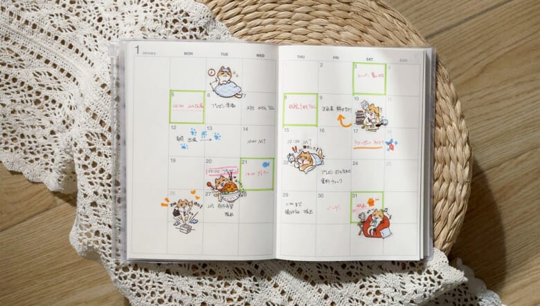 キャンプでも手軽に映画やゲームを満喫できる「エクスジミー」のポータブルプロジェクター“ノヴァ”にフォーカス！