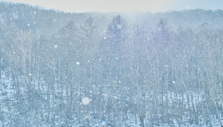 スピード装着で雪道も安心。SUV専用のタイヤチェーン「リフレックス クロス」を装着して冬の外遊びへ。