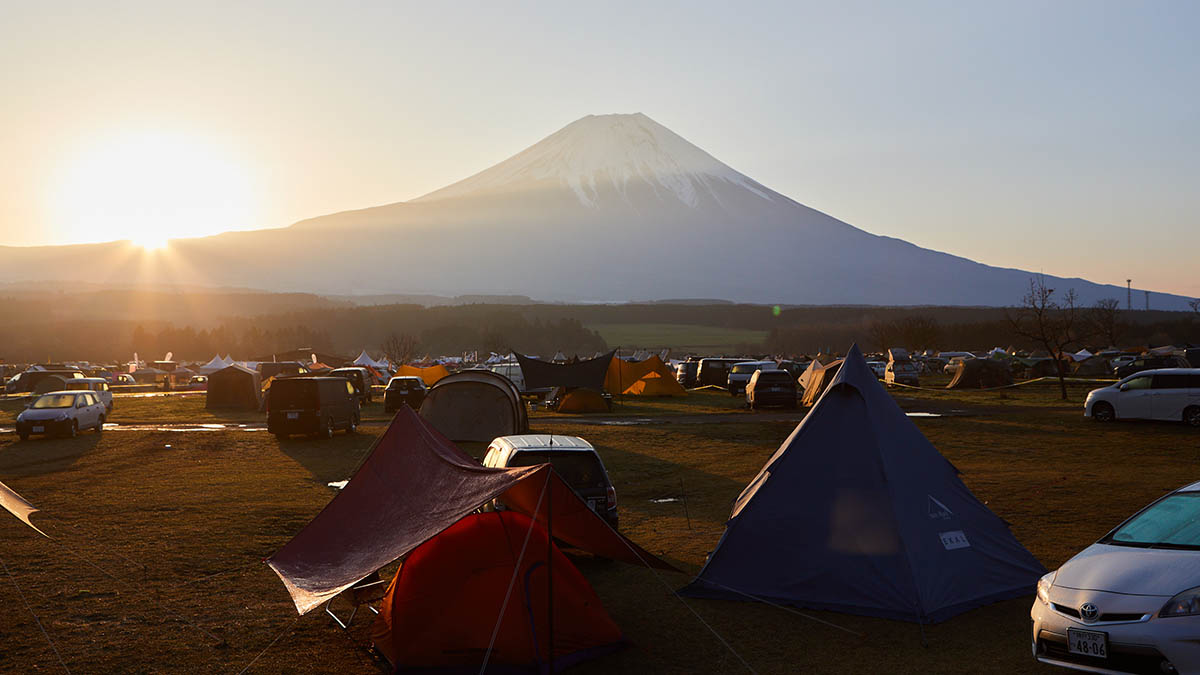 どのチケットを買う!? 券種別GO OUT JAMBOREEの過ごし方【GO OUT