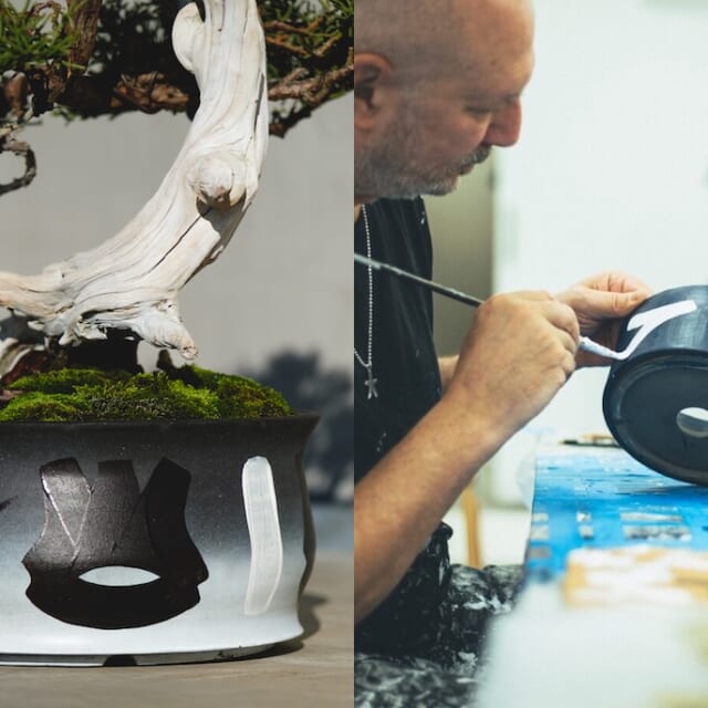 エリック・ヘイズと TRADMAN'S BONSAI による異色コラボ。ストリート