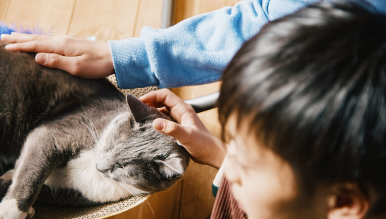 まるで美術館！ ジャンルレスに好きを詰め込む、家族団らんのハコ。【BESSユーザーお宅訪問@ワンダーデバイス・福島】
