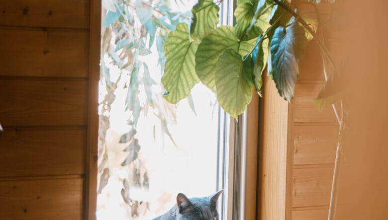 まるで美術館！ ジャンルレスに好きを詰め込む、家族団らんのハコ。【BESSユーザーお宅訪問@ワンダーデバイス・福島】