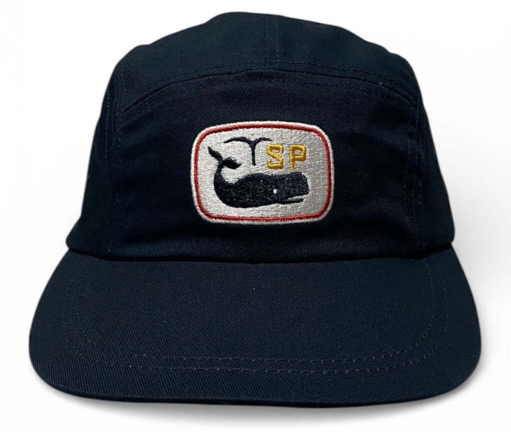 南極ホエールズ