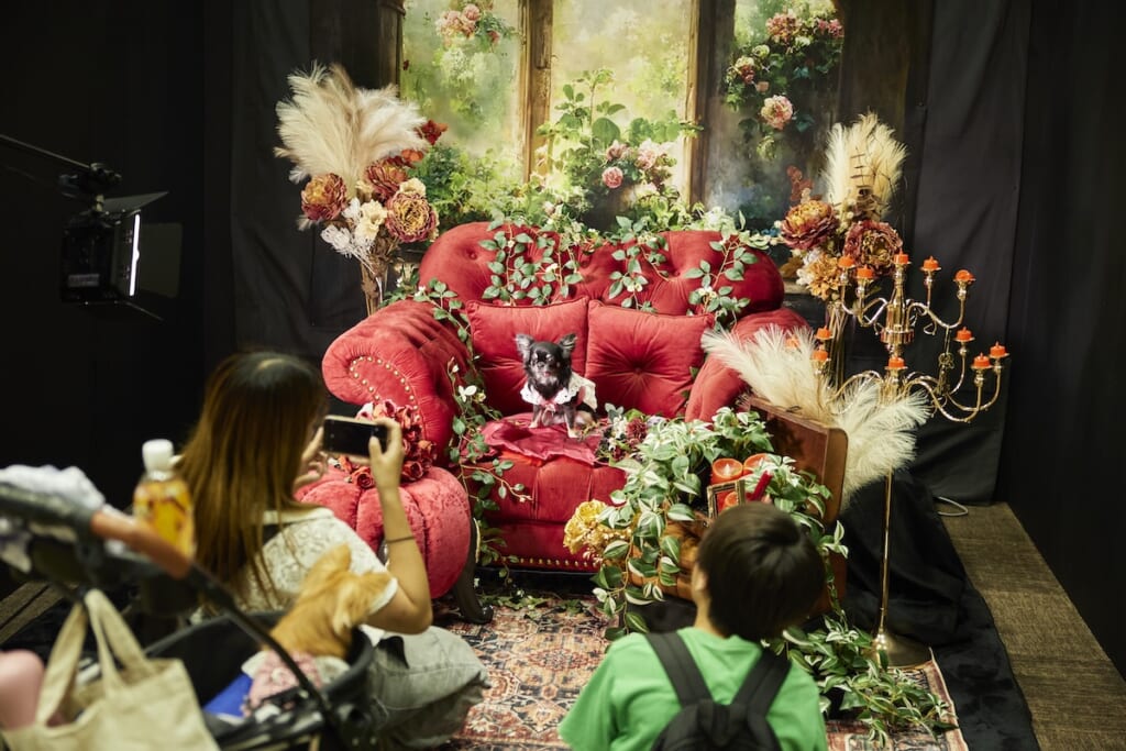 スタジオフォトブース