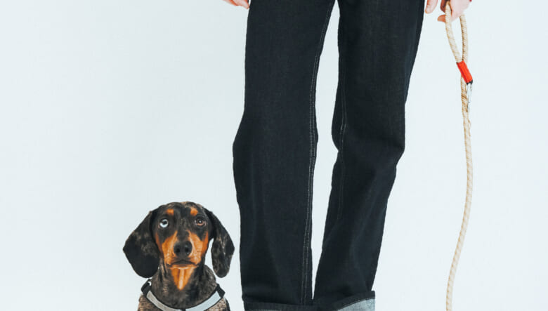 愛犬との散歩がもっと楽しく！クライミングのノウハウを生かしたトポロジーのペットプロダクトが始動。