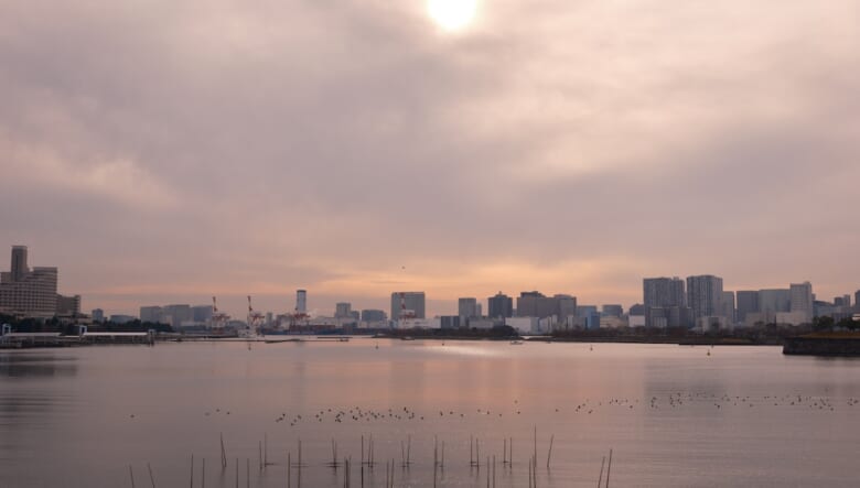 夜景スポットを目指して湾岸ハイク！　レインボーブリッジを歩いて渡ってみた。【GO OUT 遊歩倶楽部／東京ベイエリア編 #01】