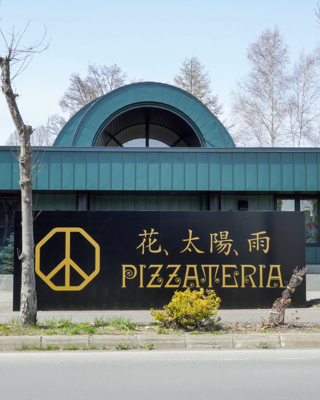 花、太陽、雨イメージ