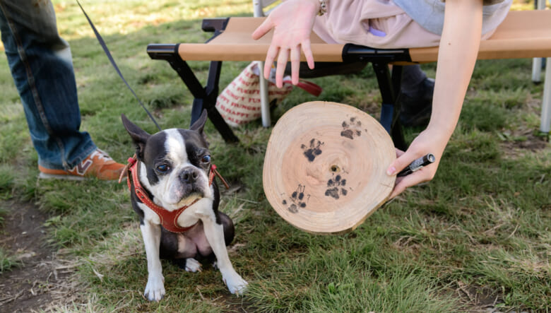 日本最大級のキャンプフェス「GO OUT JAMBOREE」が今年も熱狂！ 大盛況だった会場の様子をレポート！