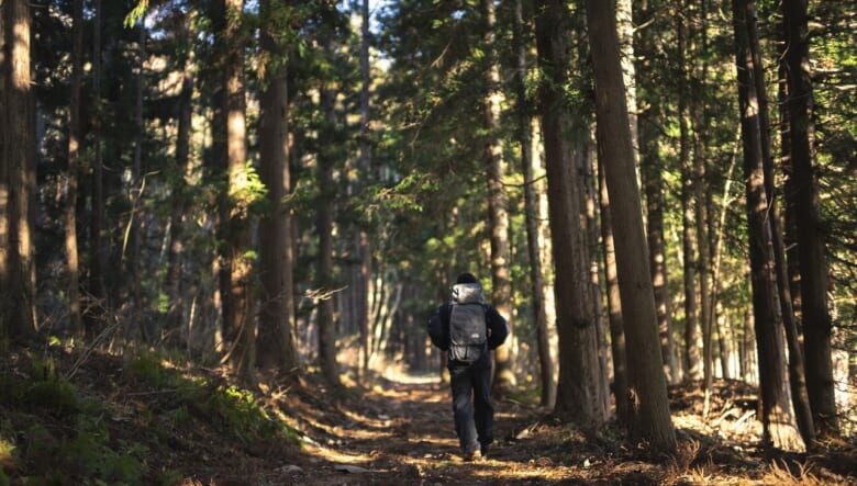 アウトドアに向けた本格カメラバッグがザ・ノース・フェイスから登場。バックカントリーのノウハウが凝縮。