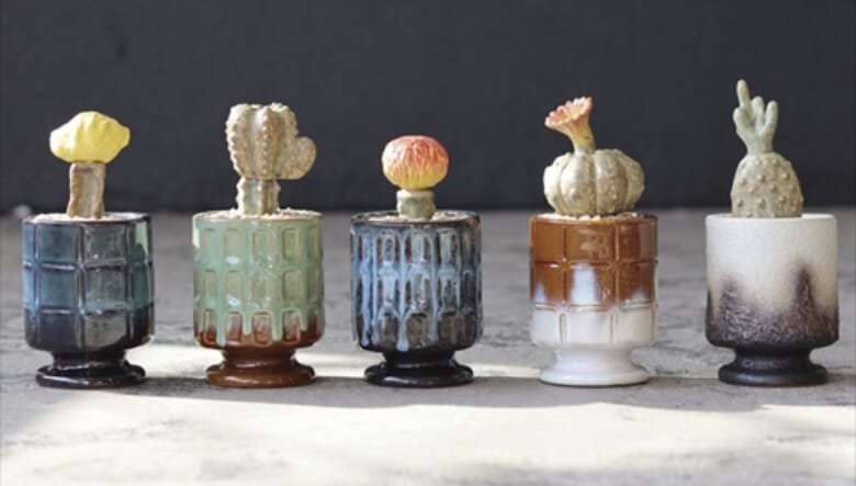 POST GENERAL THE CACTI POT