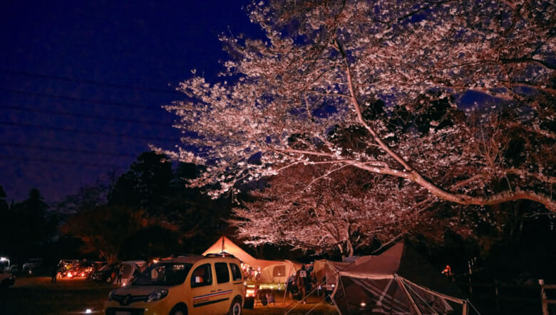 春を満喫した「カングー サクラキャンプ」。フレンチ式のおもてなしで心もお腹も大満足！