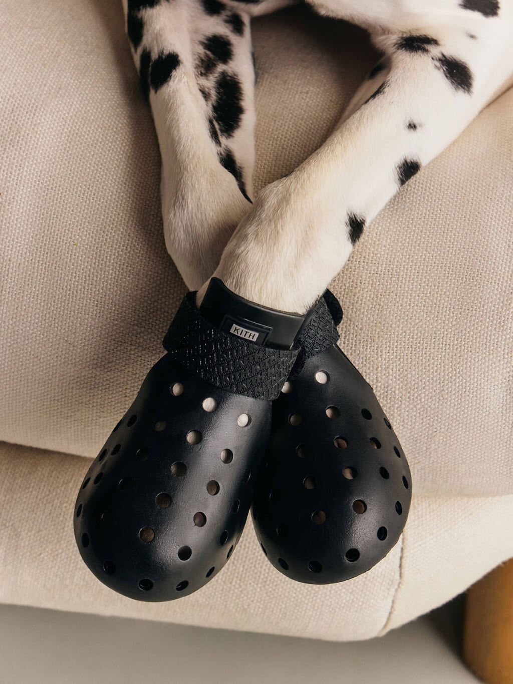 Kith for wagwear コレクション