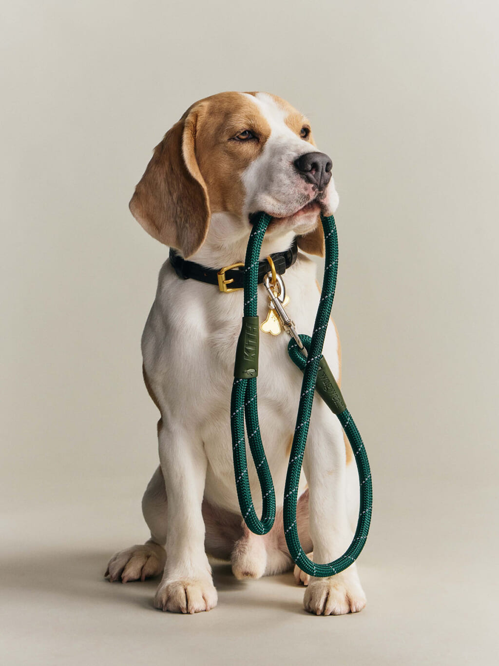 Kith for wagwear コレクション