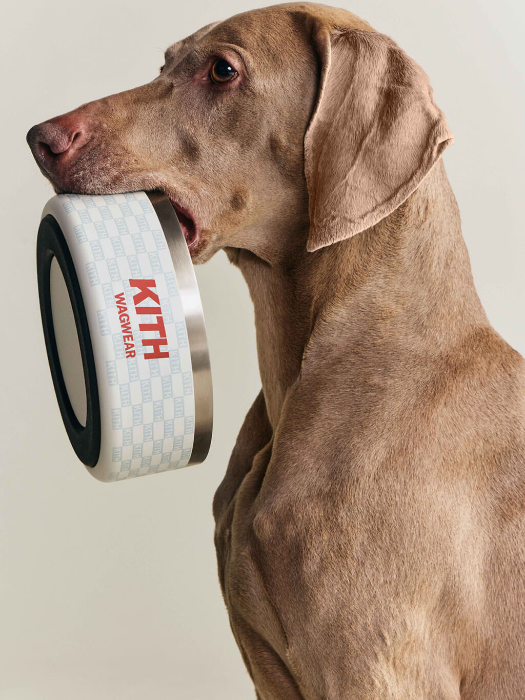 Kith for wagwear コレクション