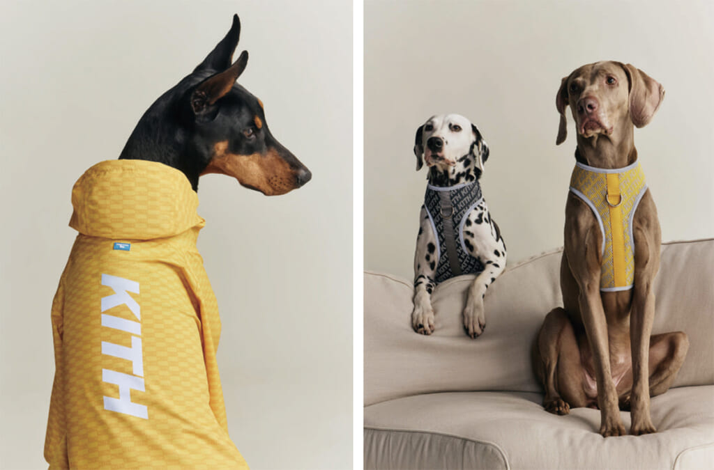 Kith for wagwear コレクション