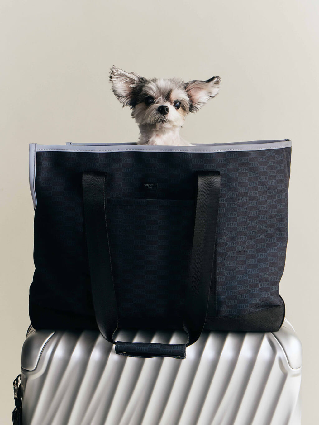 Kith for wagwear コレクション