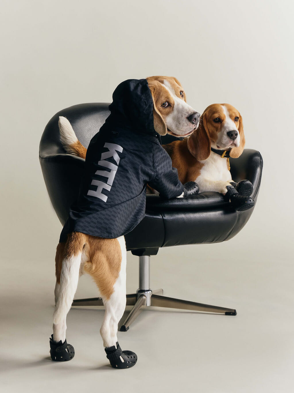 Kith for wagwear コレクション